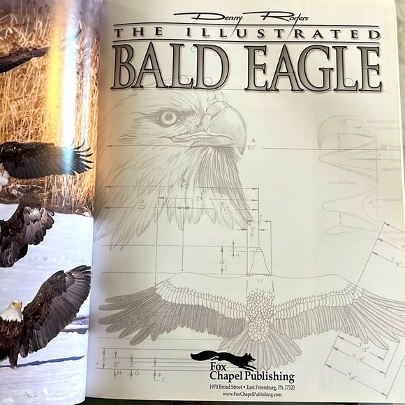 The Illustrated Bald Eagle by Denny Rogers Softcover Book EXC - Picture 3 of 16